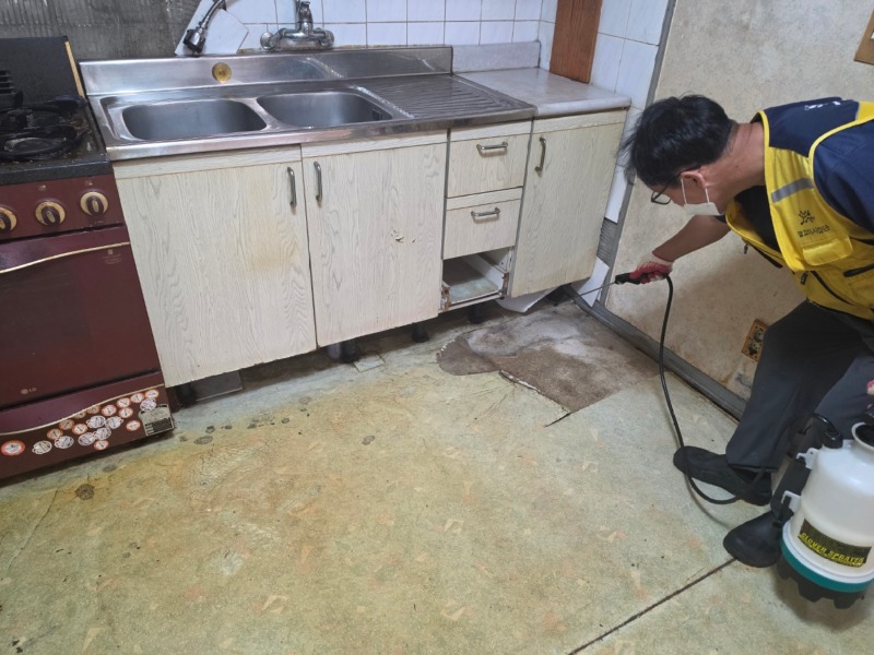 KakaoTalk_20260612_165159846_20.jpg