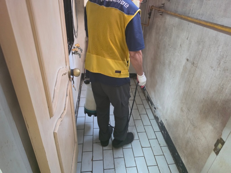 KakaoTalk_20260612_165159846_24.jpg