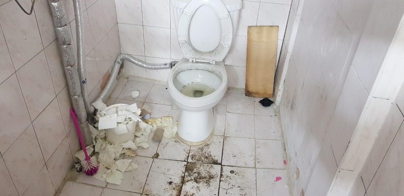 20180910_153306.jpg